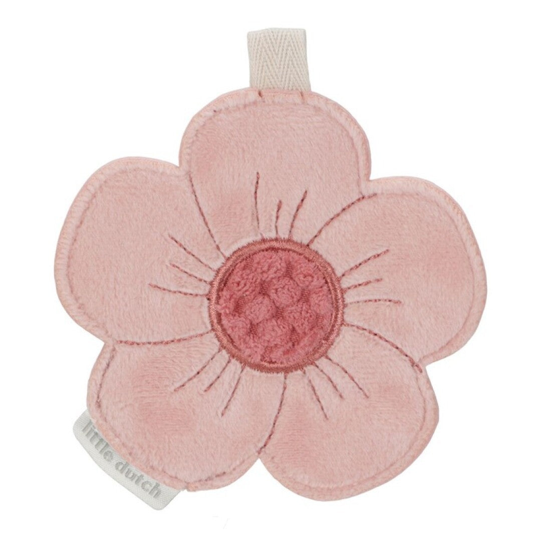 Nanetes