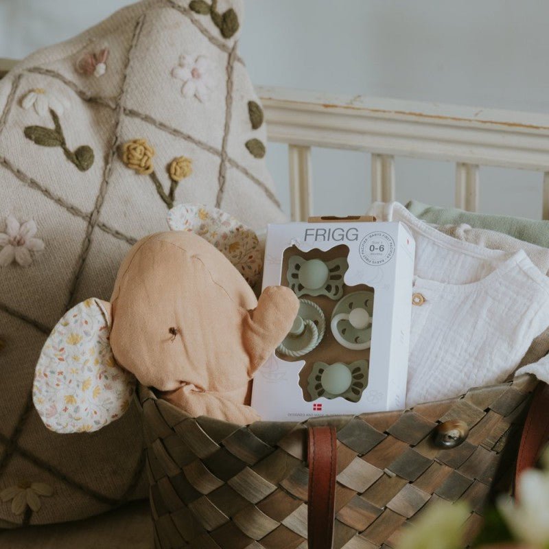 Pack Mi Primer chupete x4 Moonlight Verde - Nanetes