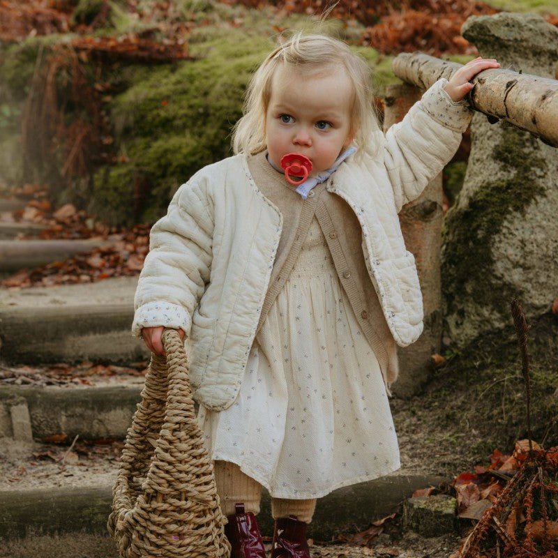 Pack x2 chupetes Daisy Poppy - Nanetes