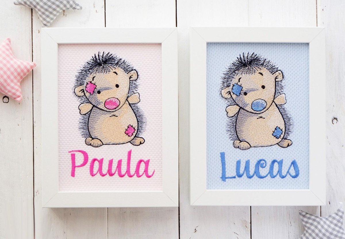 Cuadro Infantil Personalizado Bordado Erizo Old Toy Nanetes - Nanetes